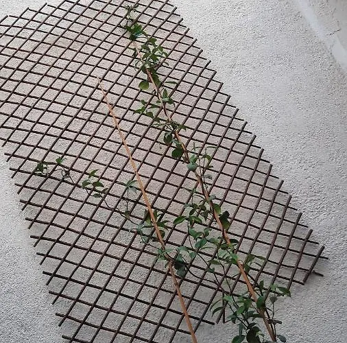 Maison De Pêcheur Rénovée Avec Cour Proche Du Port Les Sables-dʼOlonne